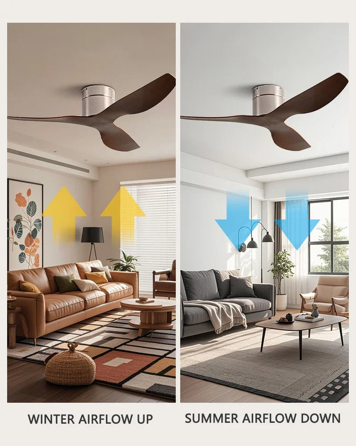 LED + télécommande