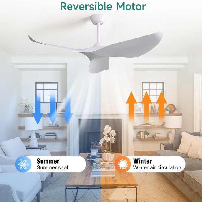 LED + télécommande