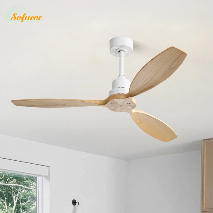 LED + télécommande