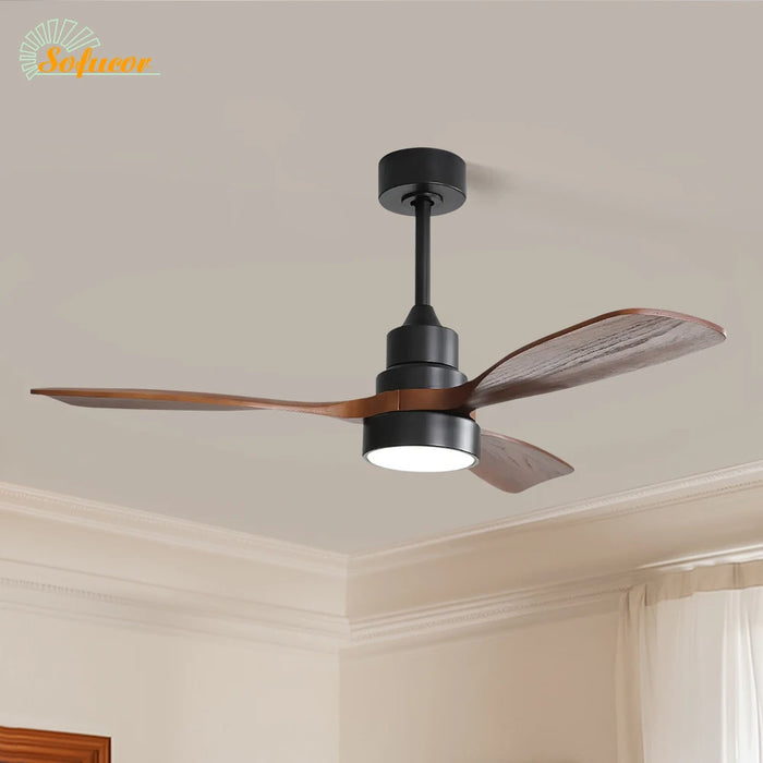 LED + télécommande