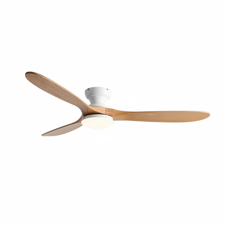 sable socle blanc light