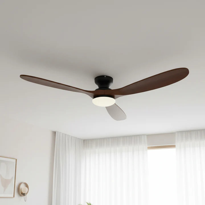 marron foncé noir light