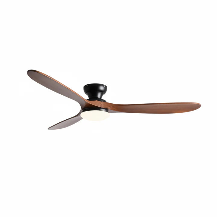 marron foncé noir light