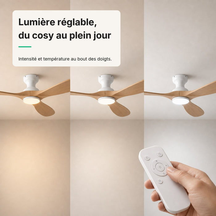 LED + télécommande