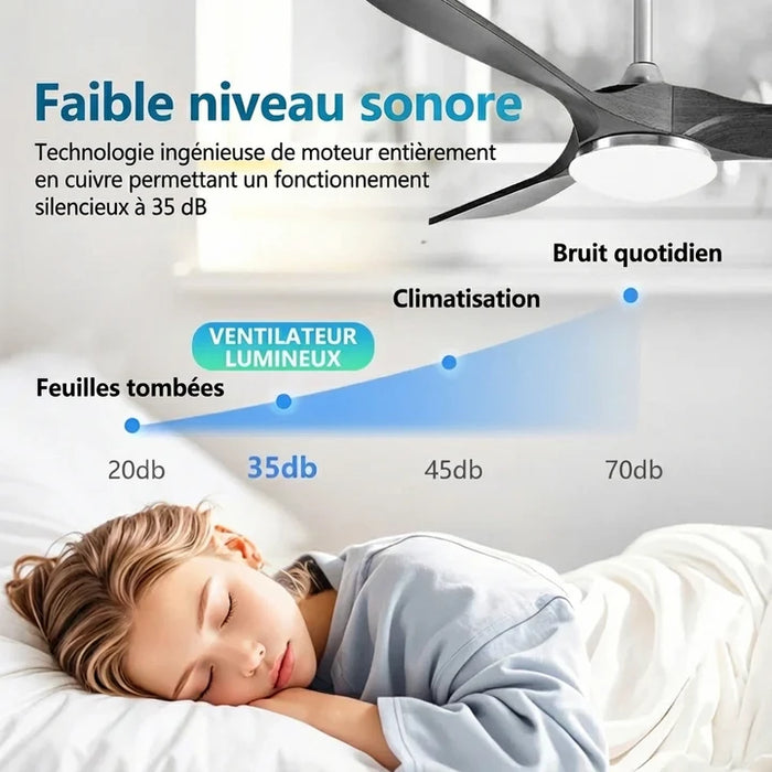 LED + télécommande