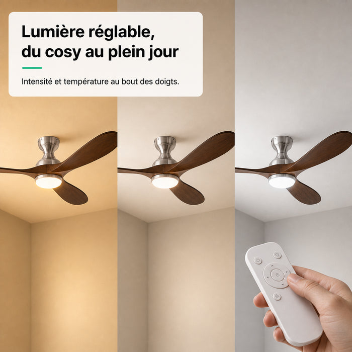 LED + télécommande