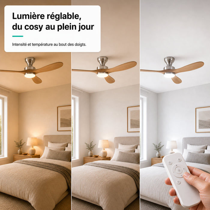 LED + télécommande