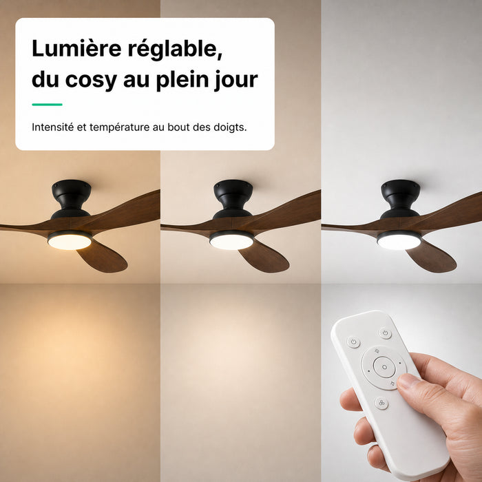 LED + télécommande
