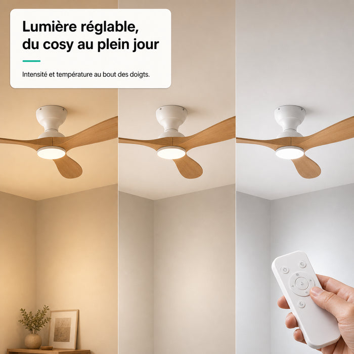 LED + télécommande
