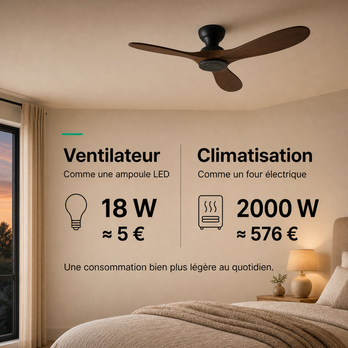 LED + télécommande