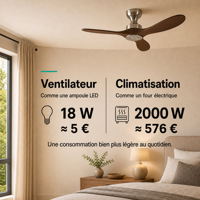 LED + télécommande